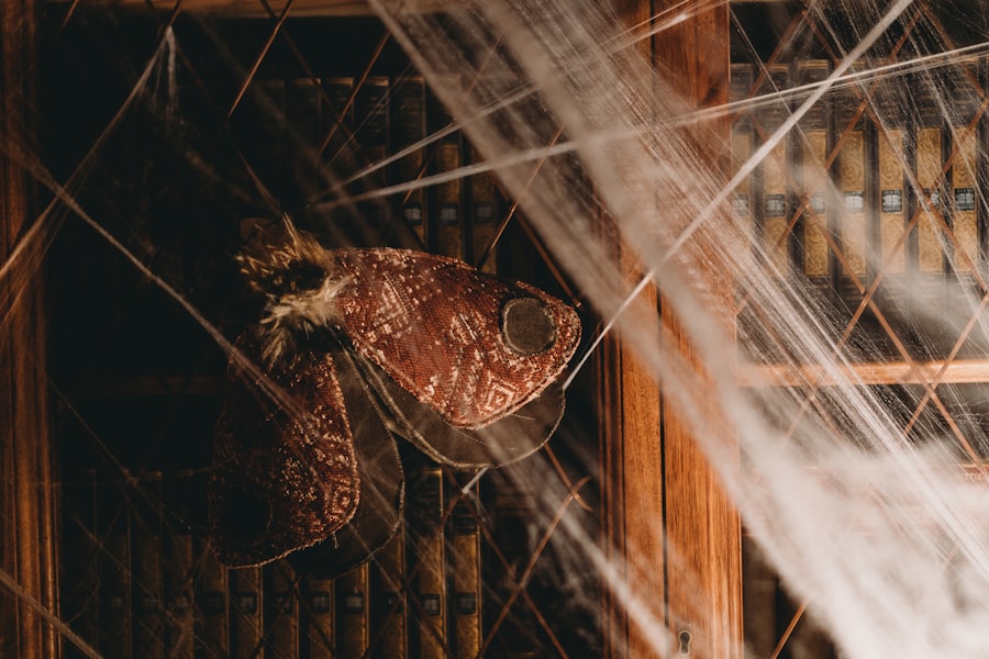 Photo haunted houses